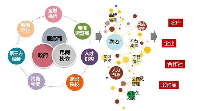 要定位,更要落地:县域农业电商"麻阳模式"初探